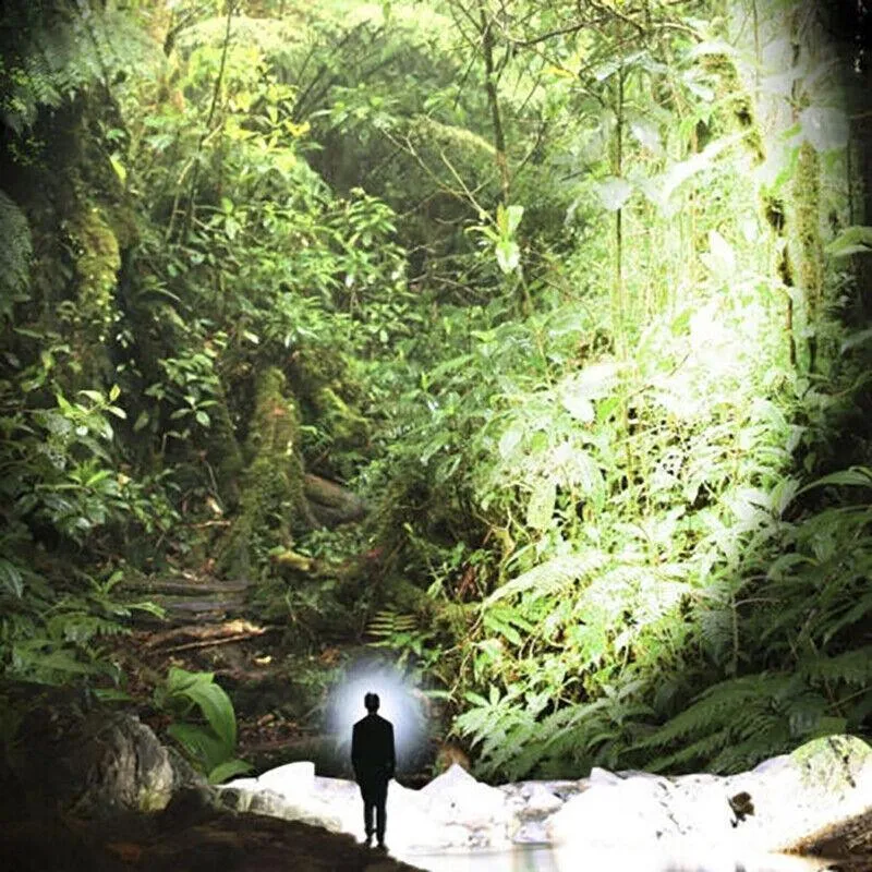 12000000Lm USB Rechargeable LED Headlamp Flashlight