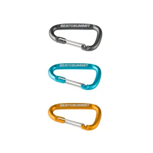 Accessory Carabiner