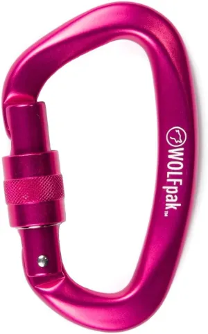 Accessory Carabiner