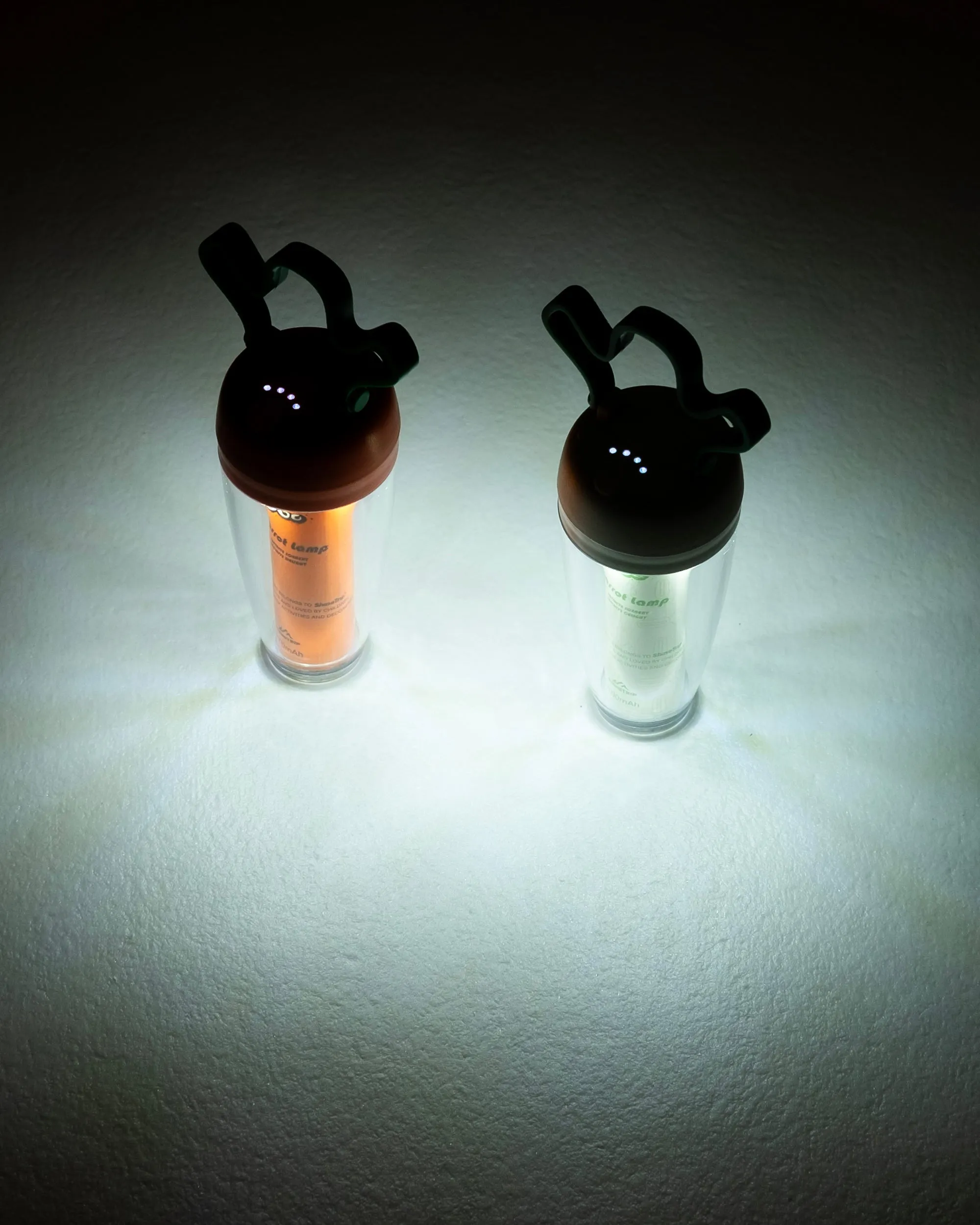 Carrot Mini Lantern