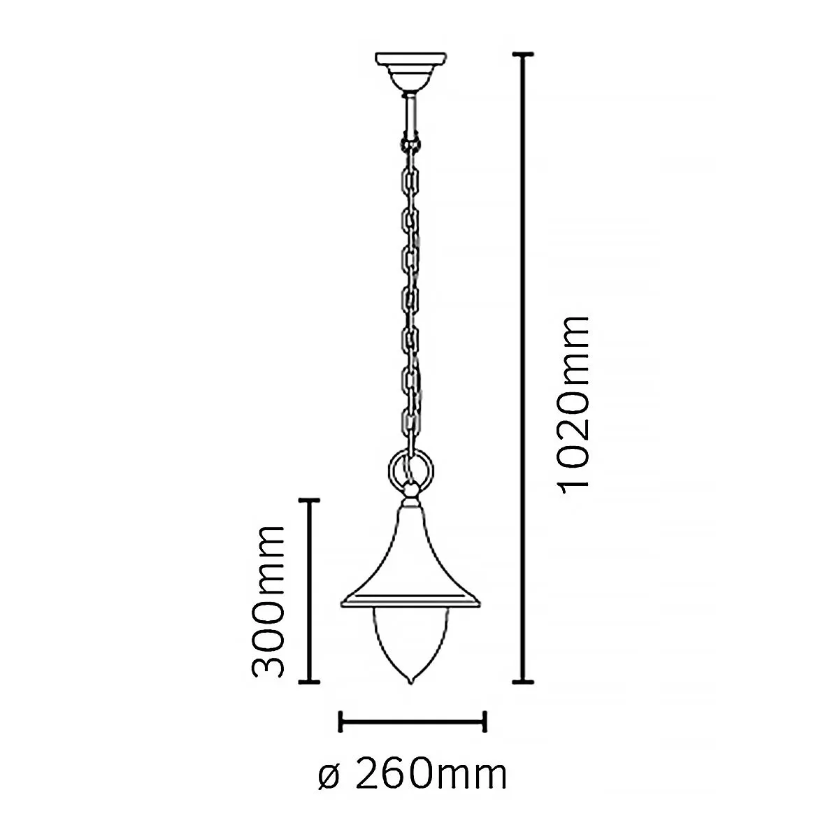 Firenze 1 Light Chain Lantern - Black  | Black
