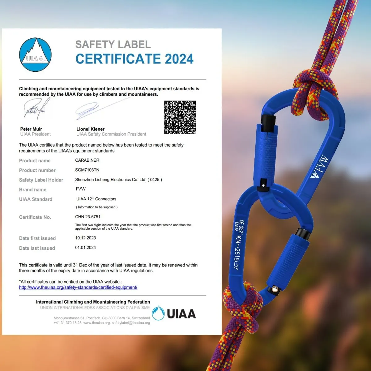 FVW Auto Locking Rock Climbing Carabiner Clips, UIAA Certified Professional 25KN (5620 lbs) Heavy Duty Caribeaners for Rappelling Swing Rescue & Gym etc,Large Carabiners,D-Shaped