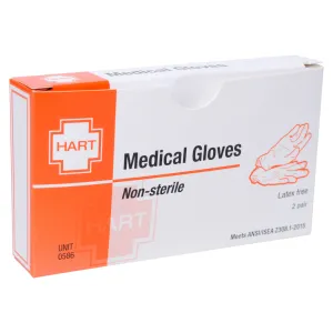 Gloves Nitrile Large Unit (2 pr/Unit)