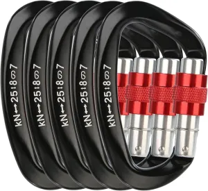 Heavy Duty Screwgate Locking Carabiner D Shape for Rappelling and Mountaineering, 5pcs