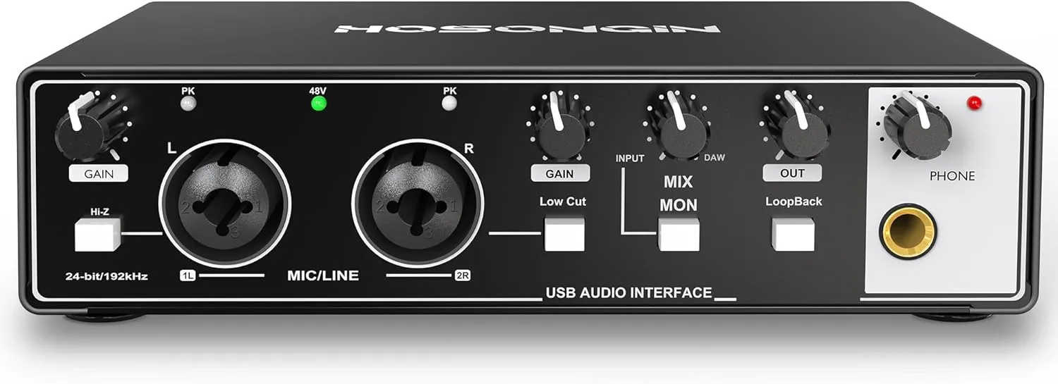 HOSONGIN 2i2 USB Audio Interface for Beginners - 24Bit/192kHz, 48V Phantom Power, Plug & Play Recording for Podcast/Vocals/Guitar/Youtube, PC/Mac/iOS Compatible (Black Metal)