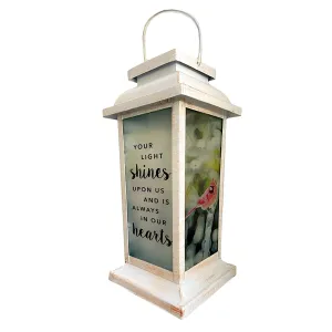 Lantern Cardinals Solar Caring Well-loved Robust