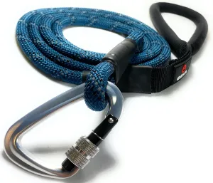 Locking Carabiner Dog Leash – Heavy Duty Rope Leash for Large & Medium Dogs | Reflective with Strong Clip & Padded Handle for Walking, Hiking, Running, Training - 6 Ft (Blue)