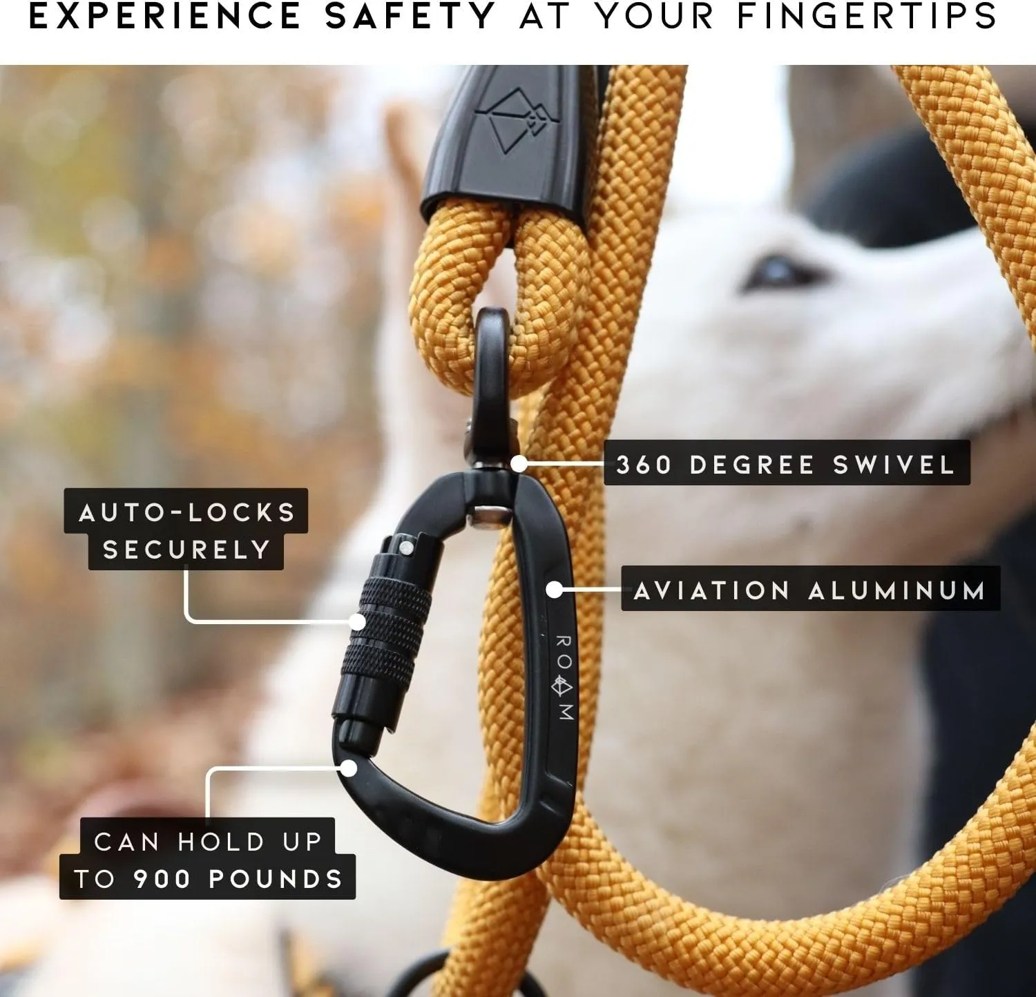 MADE TO ROAM Premium Explorer Leash - Climbing Rope Leash with Autolocking Aviation Aluminum Carabiner - Utah Glow, 6ft