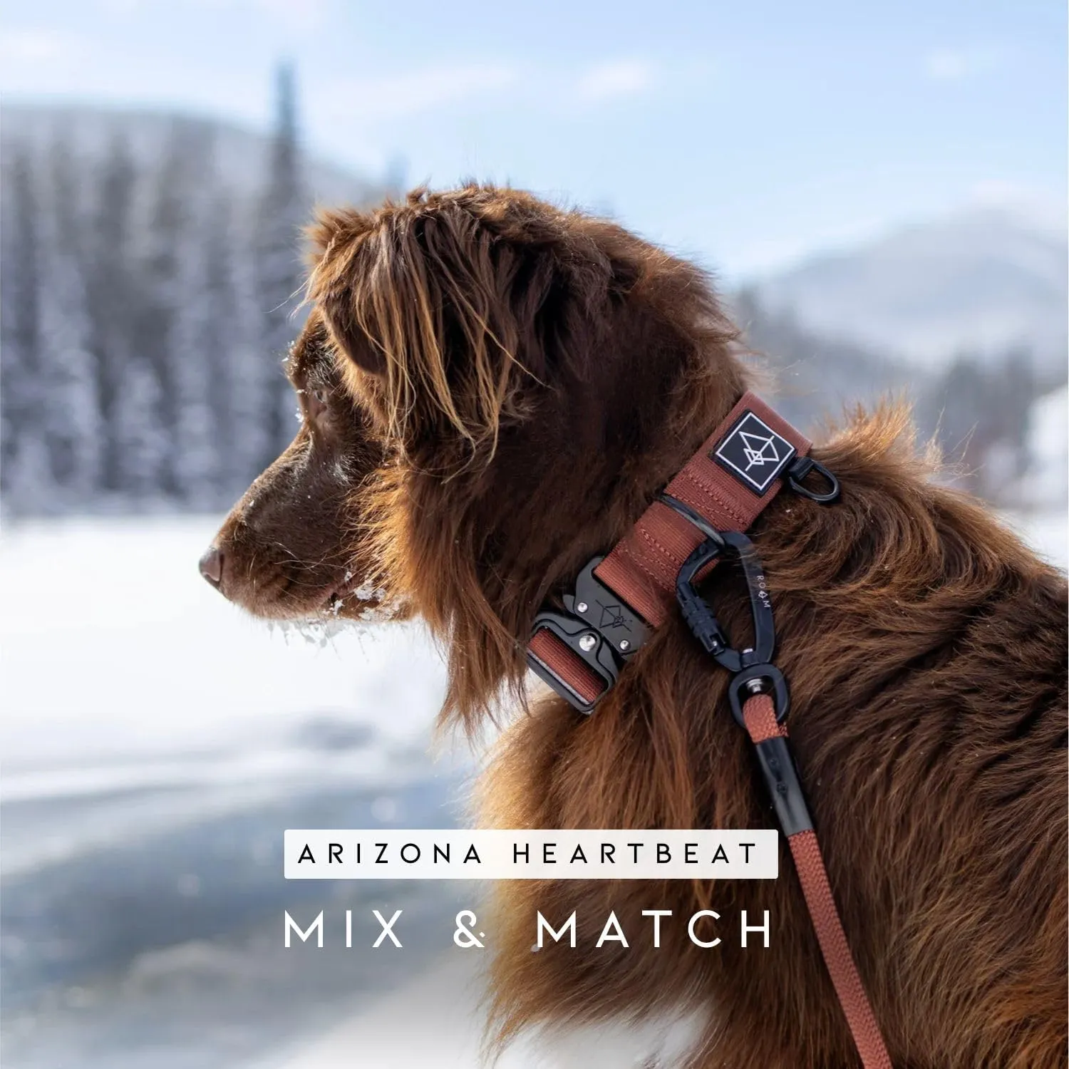 MADE TO ROAM Premium Explorer Leash - Climbing Rope Leash with Autolocking Aviation Aluminum Carabiner - Utah Glow, 6ft