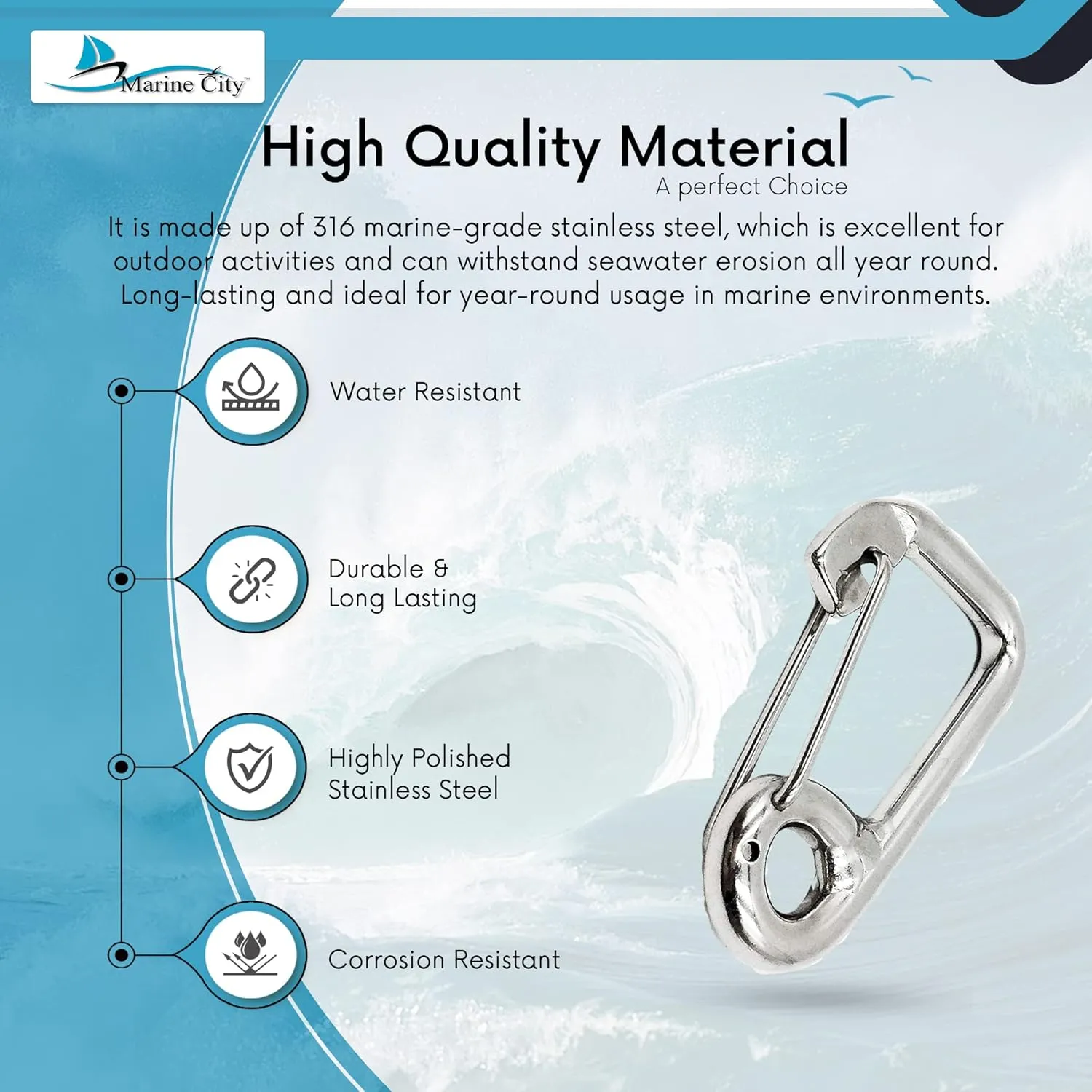 MARINE CITY Carabiner Spring Snap Hook – 316 Stainless Steel, Premium Quality, Rustproof, Lightweight, for Keys, Water Bottles, RVs, Boats, Camping, Hiking