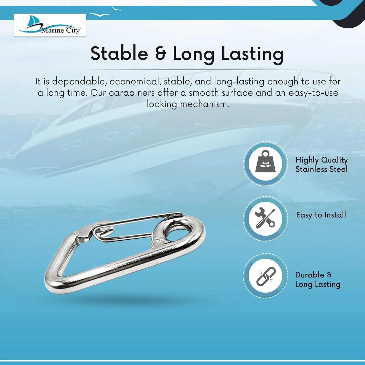 MARINE CITY Carabiner Spring Snap Hook – 316 Stainless Steel, Premium Quality, Rustproof, Lightweight, for Keys, Water Bottles, RVs, Boats, Camping, Hiking