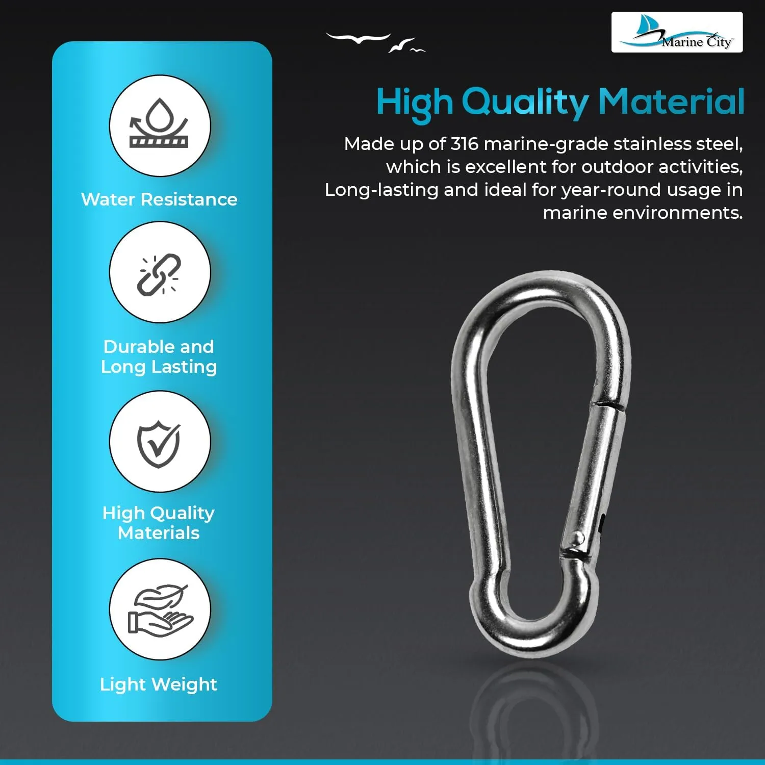 MARINE CITY Stainless Steel Carabiner Clip Snap Hook - 316 Stainless Steel Clips