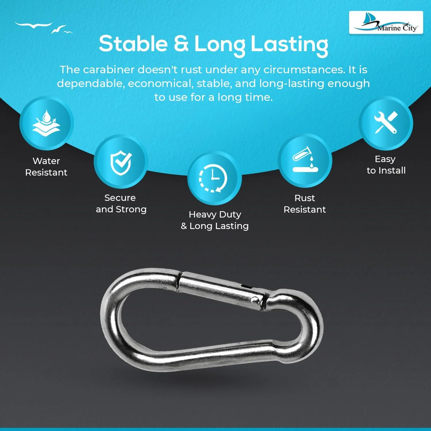 MARINE CITY Stainless Steel Carabiner Clip Snap Hook - 316 Stainless Steel Clips