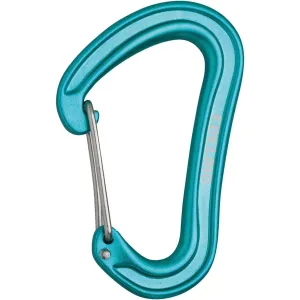 Nineteen G Carabiner