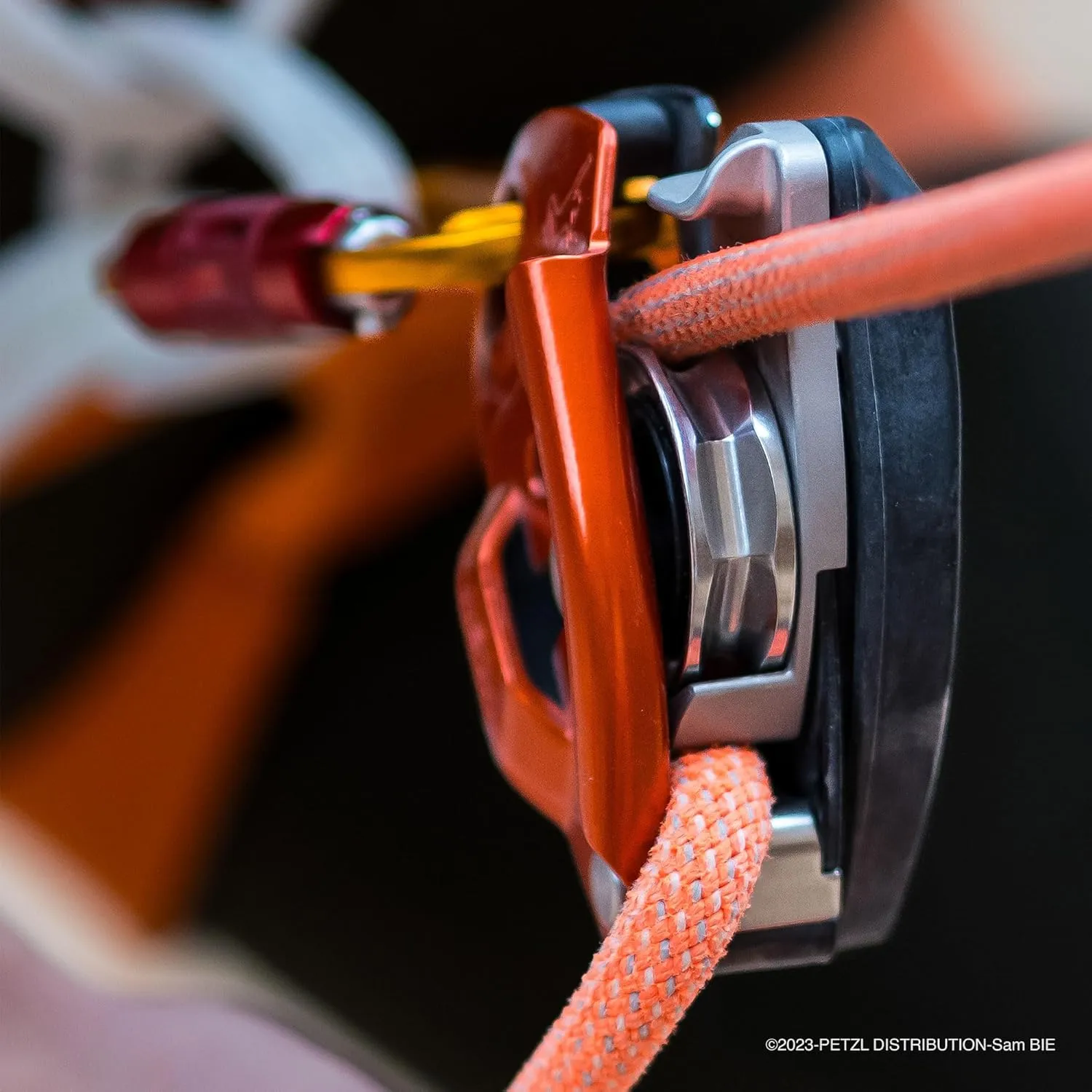 Petzl Sm'D Carabiner - Versatile, Lightweight, Compact, D-Shaped Locking Carabiner for Rock and Ice Climbing