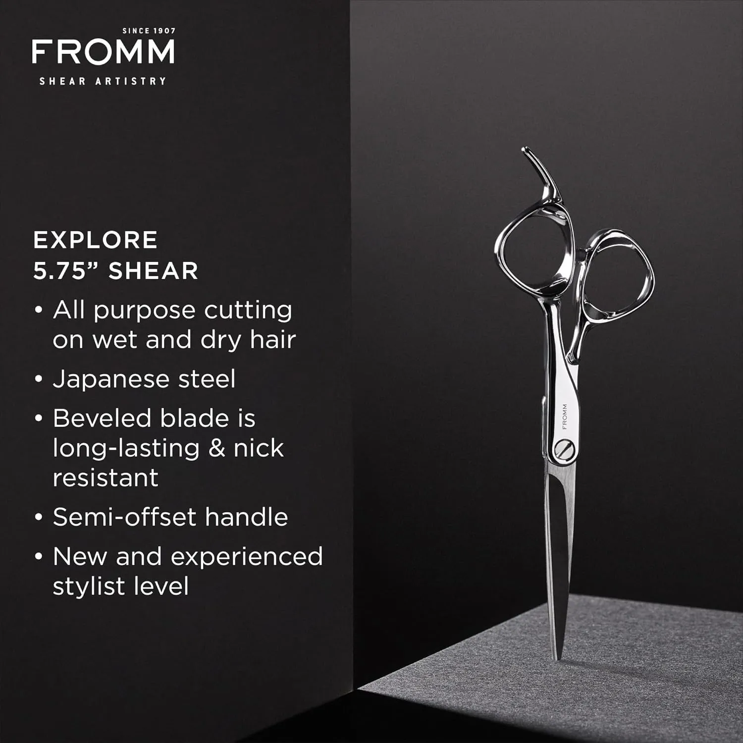 Professional Explore 5.75" Hair Cutting Shears for Wet and Dry Hair, Polished Silver Japanese Steel Scissors with Beveled Blade