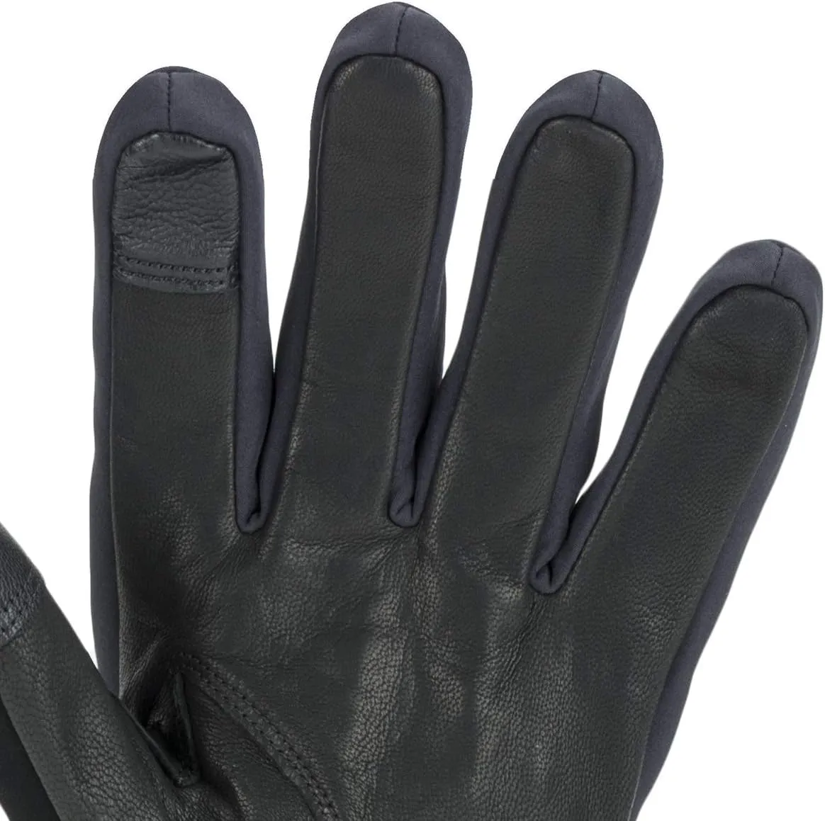 SEALSKINZ Unisex Waterproof All Weather Insulated Glove