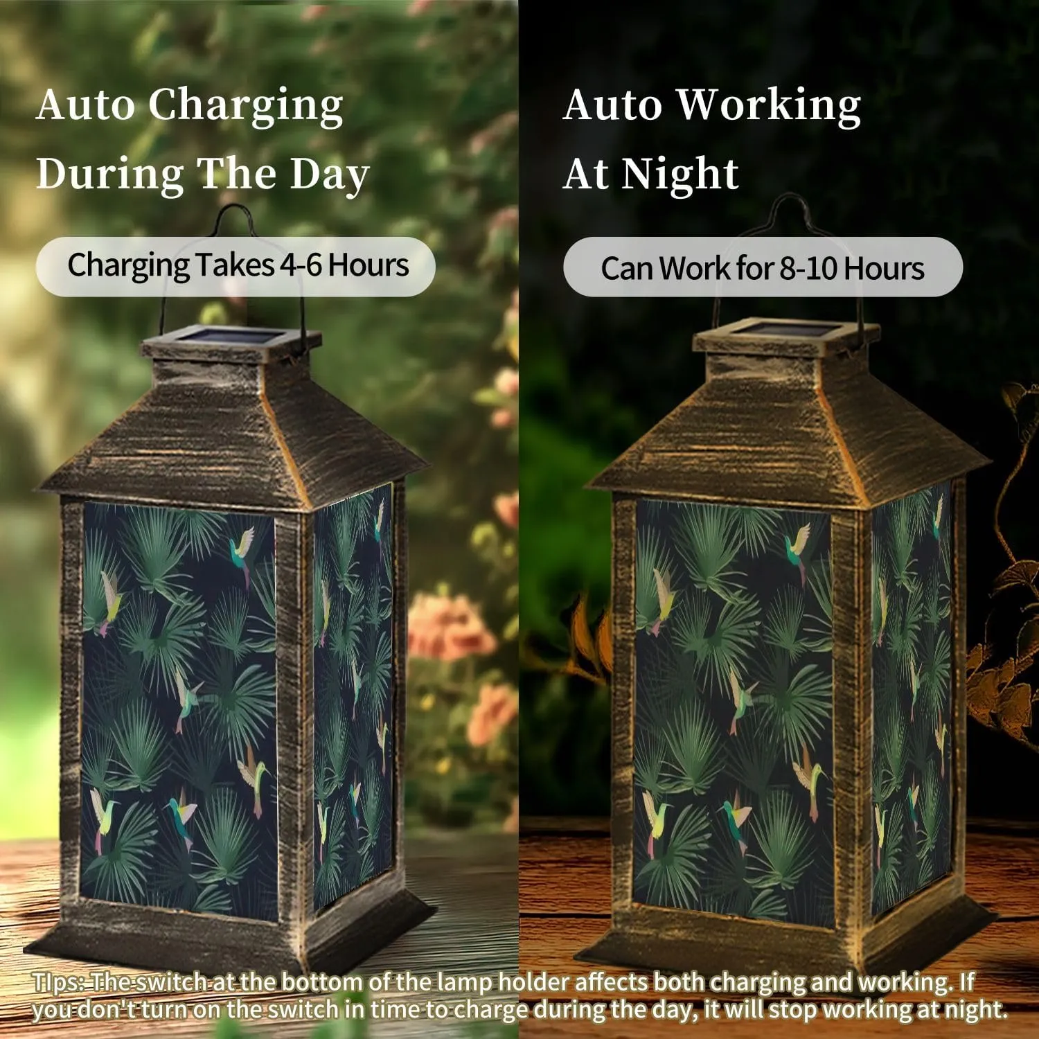 Solar Lantern Exotic Tropical Forest Hummingbirds Colibri Outdoor Garden Hanging Lantern Waterproof Solar Powered Lighting Outside Table Lamp for Patio Deck Yard Camping Beach House Decor