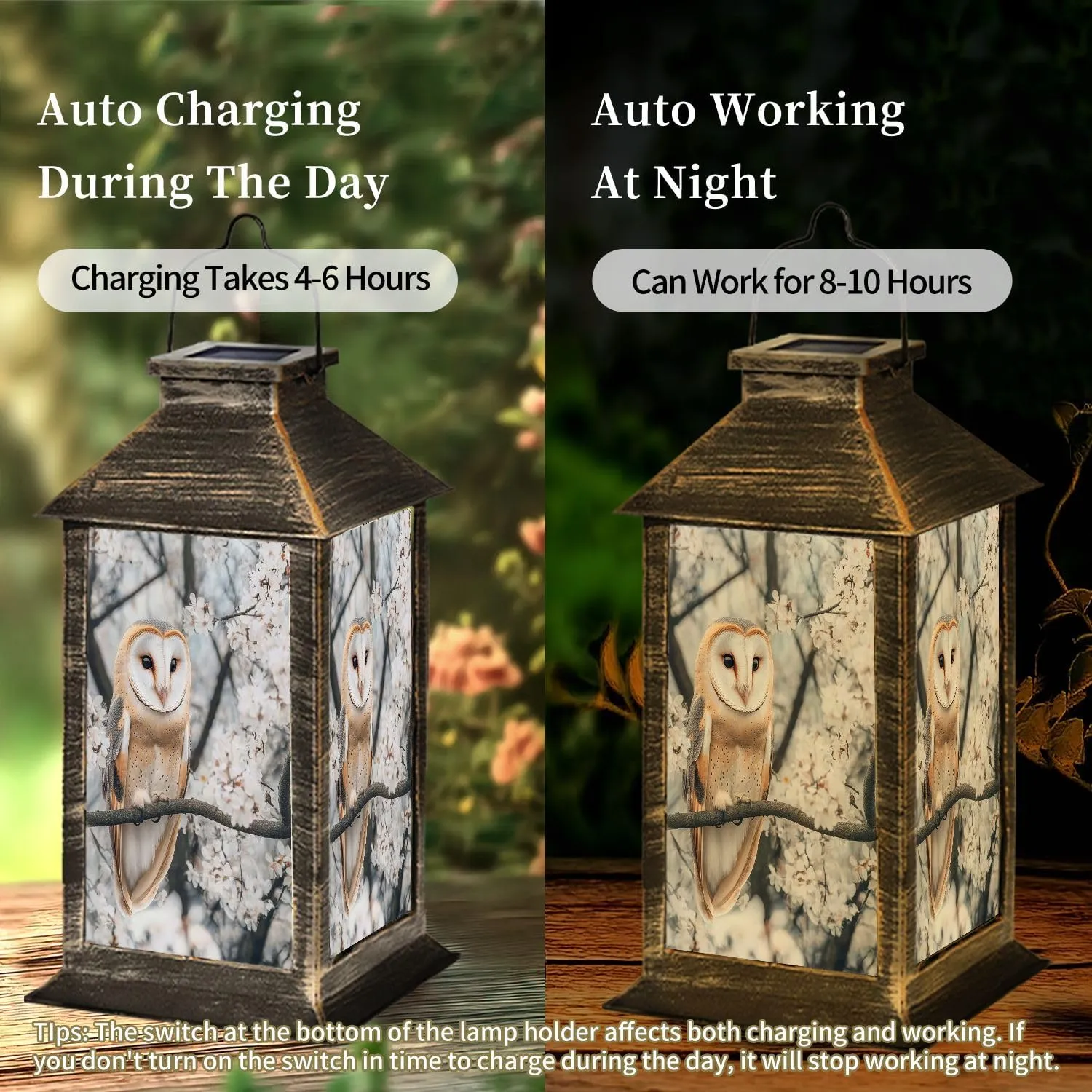 Solar Lantern Fine Art Portrait Barn owl Among Flowers Tyto alba Outdoor Garden Hanging Lantern Waterproof Solar Powered Lighting Outside Table Lamp for Deck Yard Camping Patio Decor