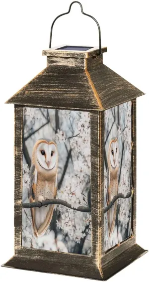 Solar Lantern Fine Art Portrait Barn owl Among Flowers Tyto alba Outdoor Garden Hanging Lantern Waterproof Solar Powered Lighting Outside Table Lamp for Deck Yard Camping Patio Decor