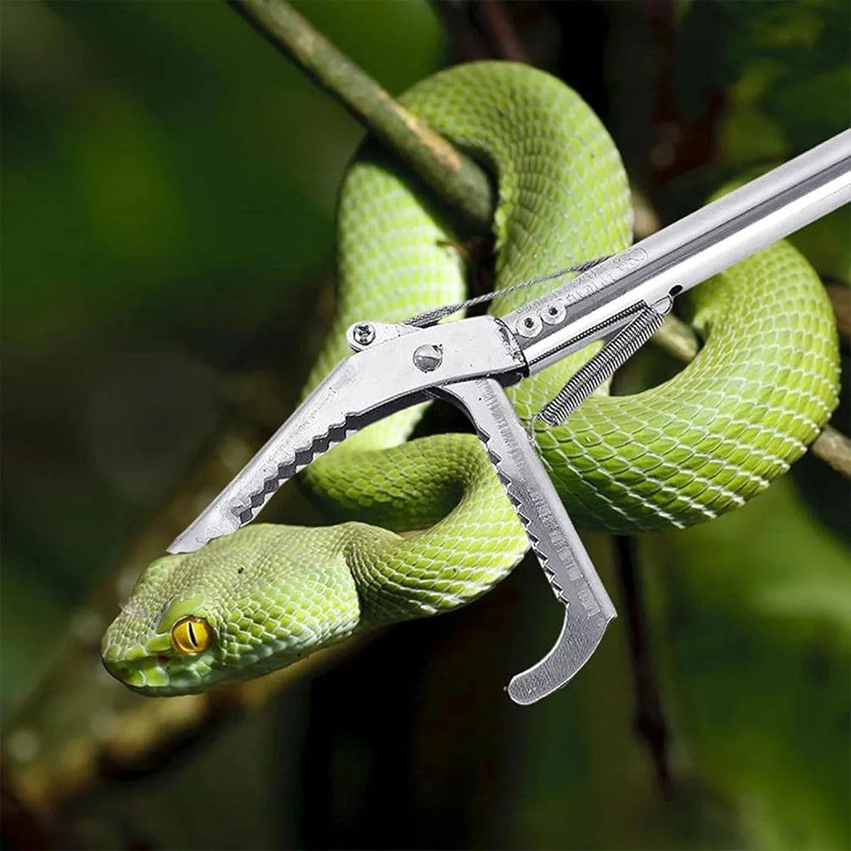 Stainless Steel Multi-Purpose Folding Eel Clip Anti Dislodgement Fishing Tool