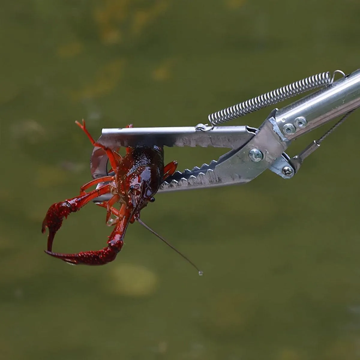 Stainless Steel Multi-Purpose Folding Eel Clip Anti Dislodgement Fishing Tool