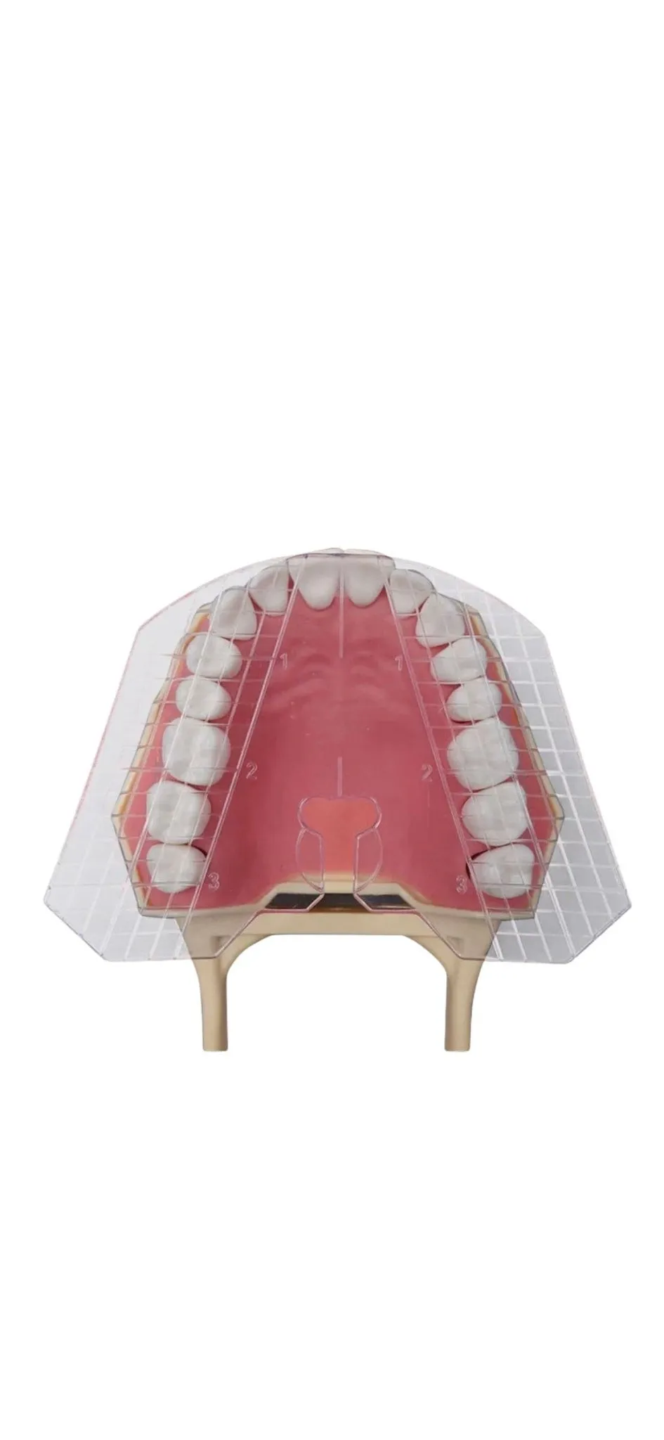 Teeth Placement Tool Denture Guide