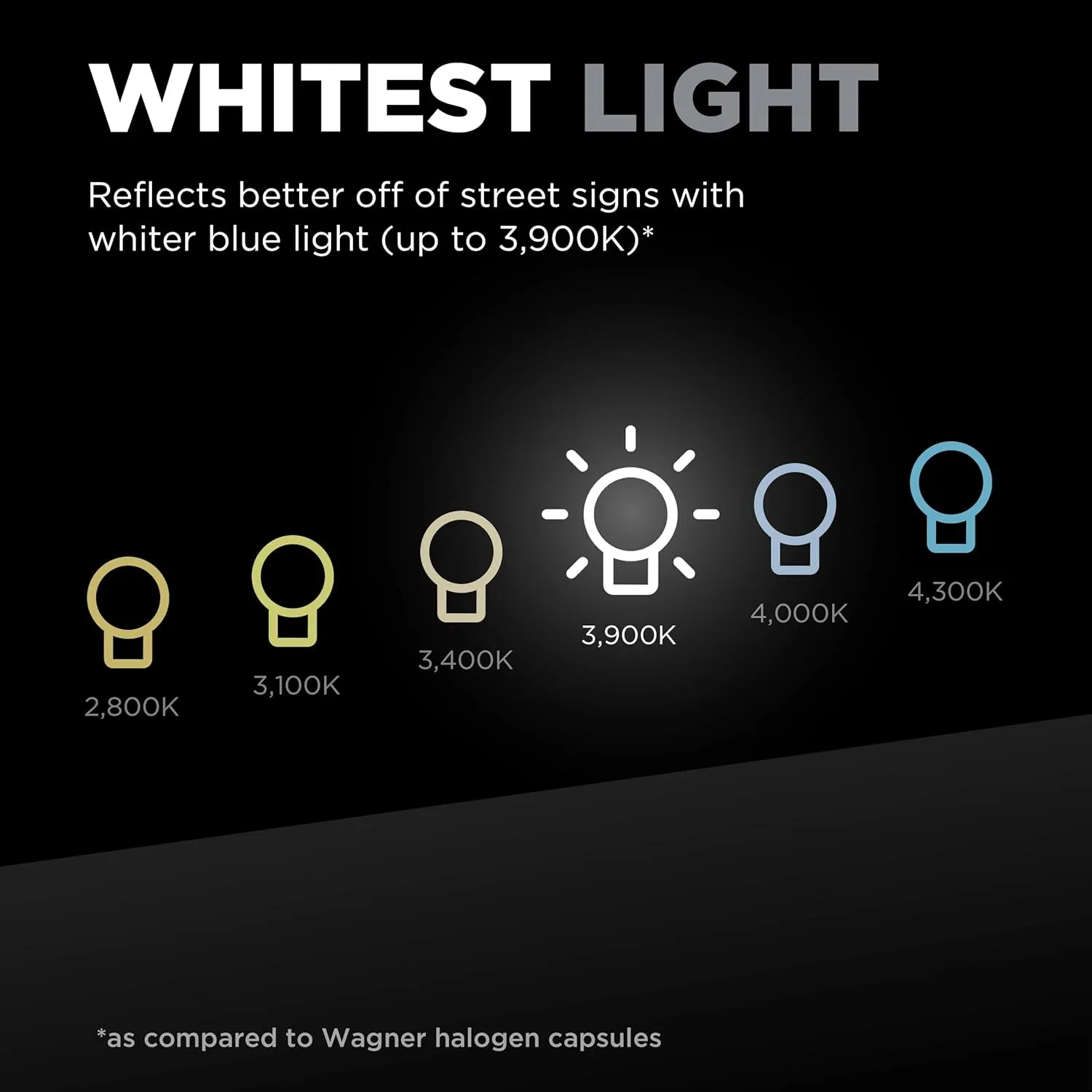 Wagner TruView PLUS BP9006TVX2 Multi-Purpose Light Bulb Card of 2