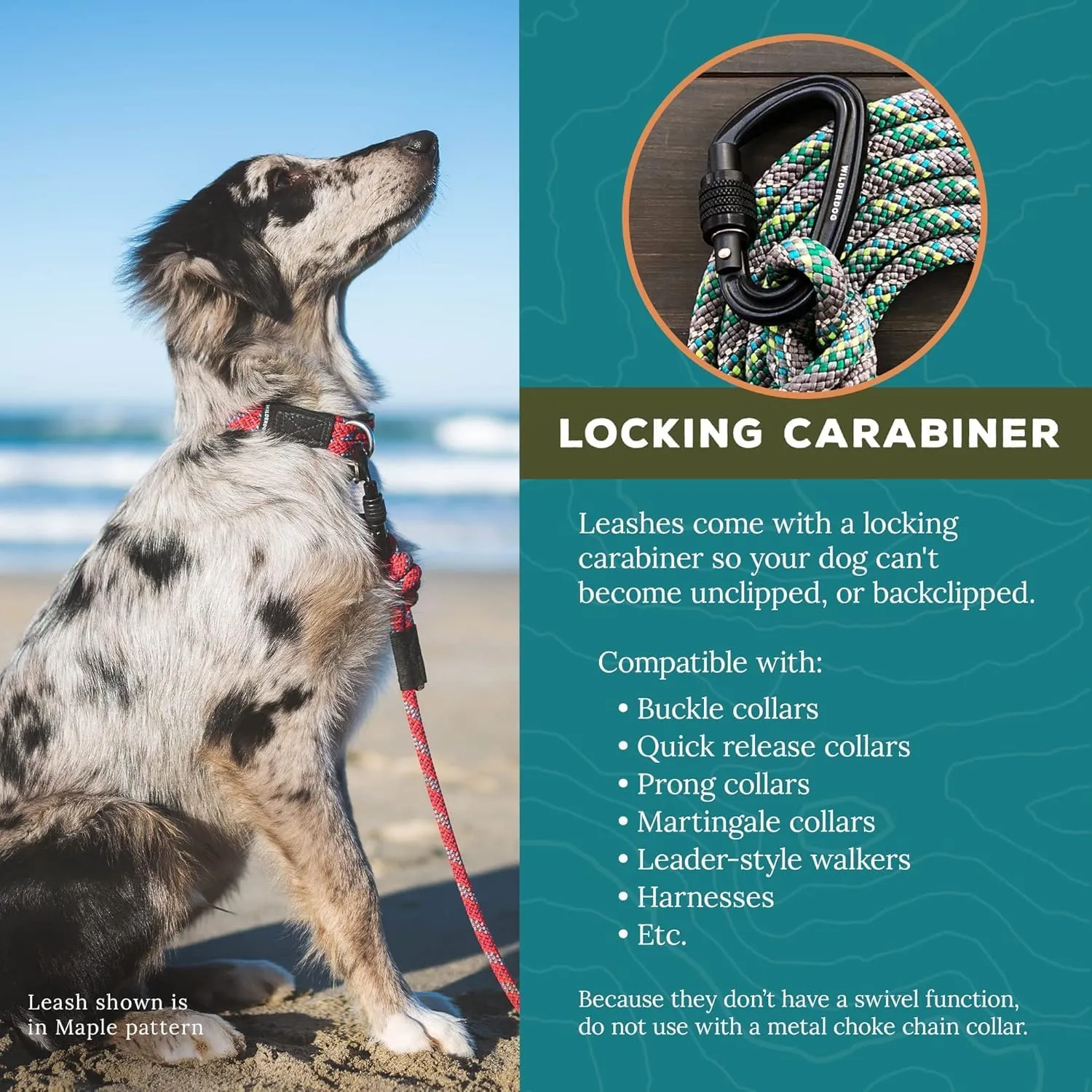 Wilderdog Carabiner Climbing Rope Dog Leash for Medium & Large Dogs - 5ft - Alpine